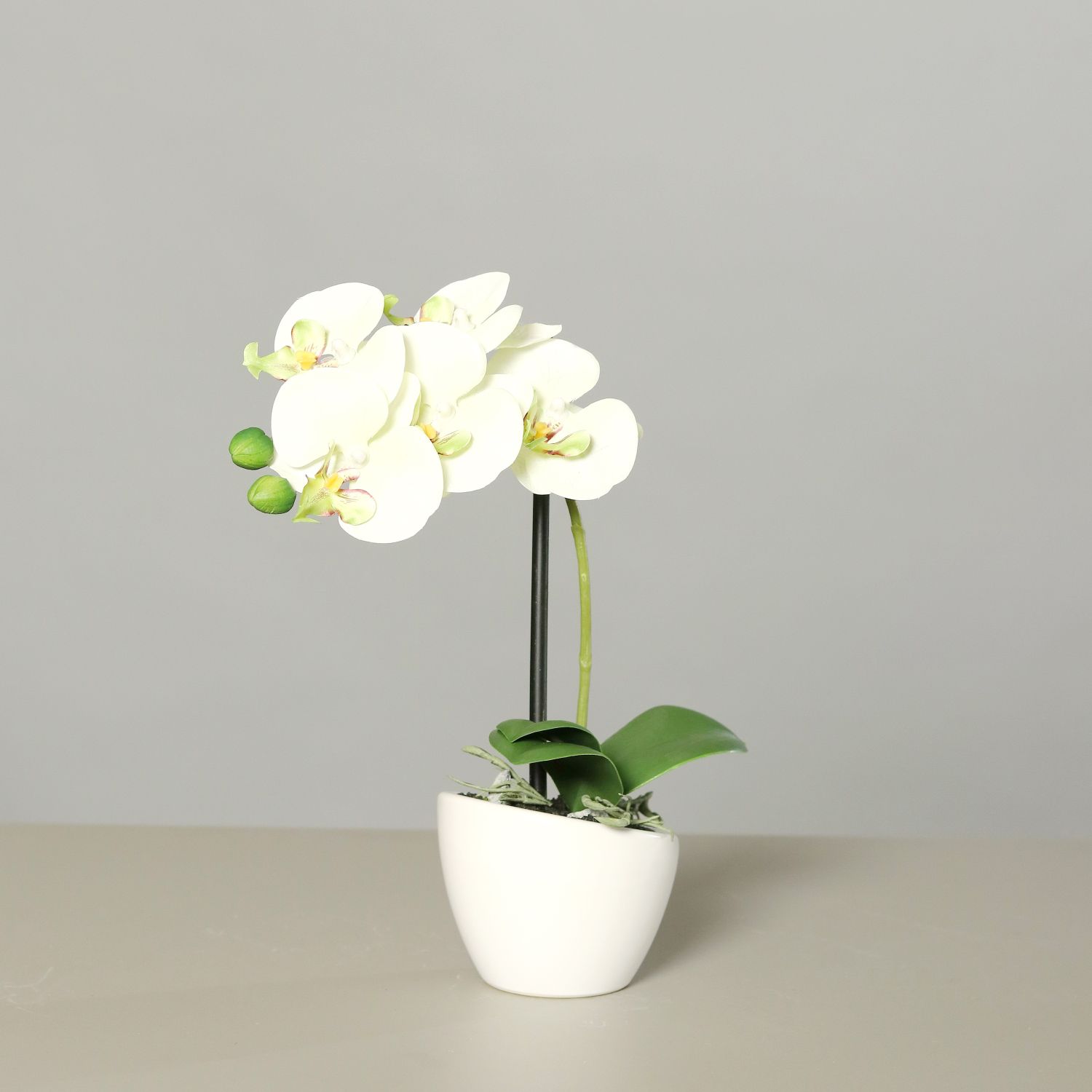 Keramiktopf im Pflanzen Orchidee-Phalaenopsis 30 cm weiß/grün / Kunstblumen ca.