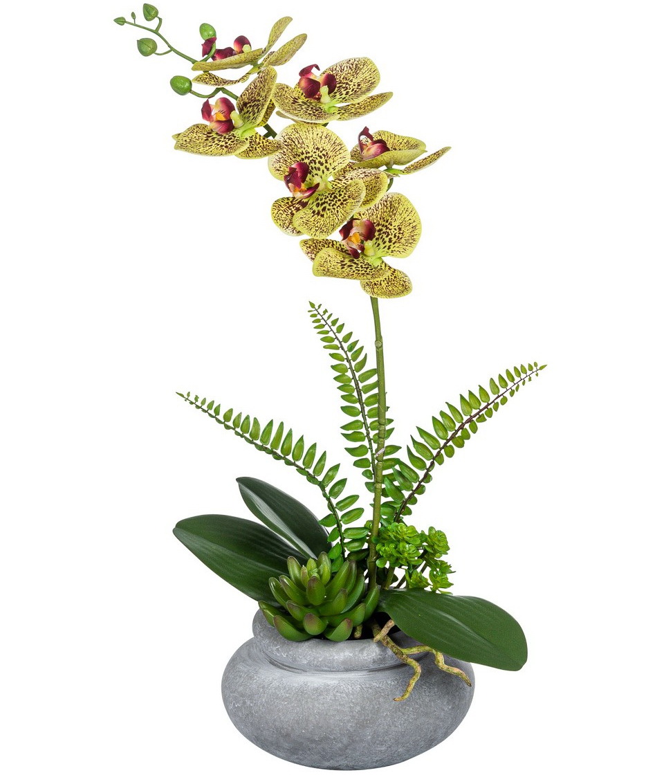 46 / mit im Sukkulenten Topf ca. cm grün/lila Pflanzen Kunstblumen Orchidee