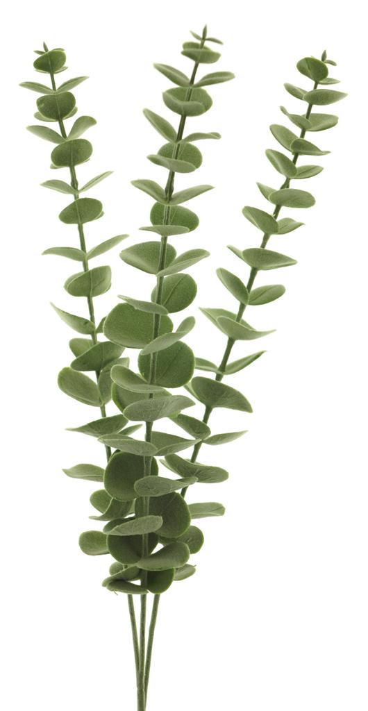 Eukalyptuszweig grün bemehlt cm 60 / Pflanzen Kunstblumen ca