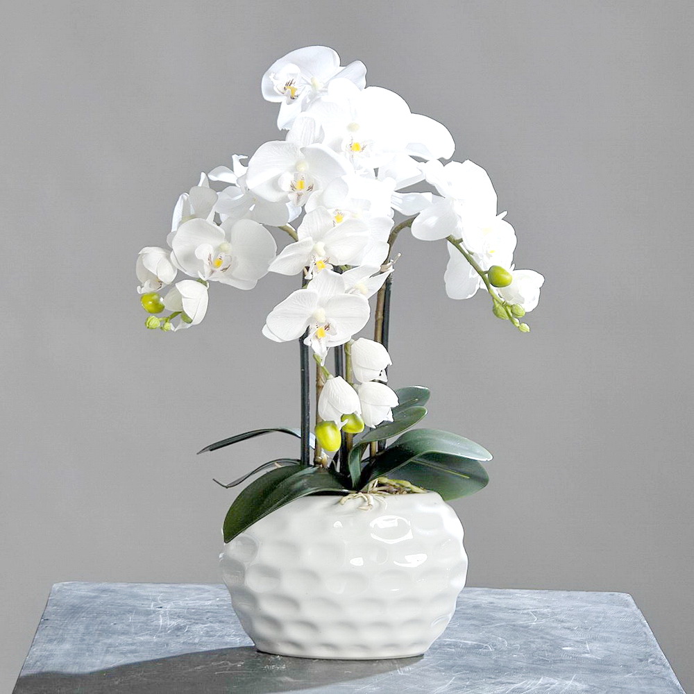 Weißer Orchideentraum Im Keramiktopf Kunstblumen / Pflanzen - Tewa-shop.de