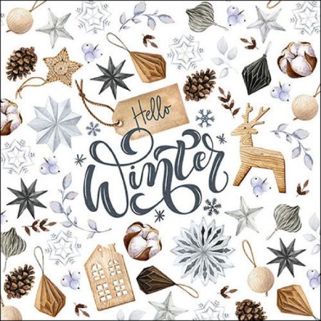 20er Servietten 'Hello Winter'