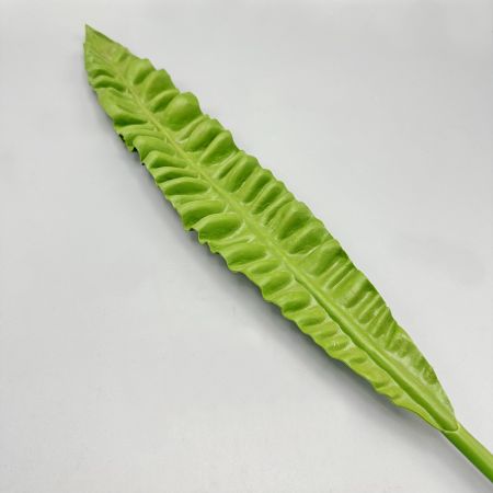 Farnblatt grün