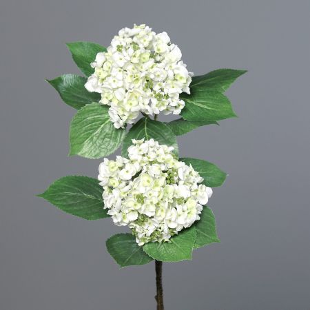 Hortensie mit 2x große Blütenköpfe cream-grün<p></p>