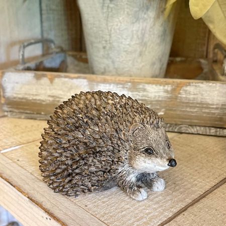 Igel braun (schaut zur Seite)