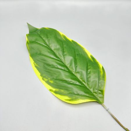 Philodendronblatt gelb/grün