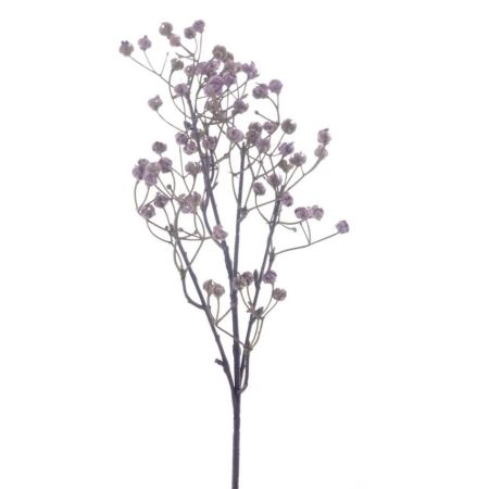 Schleierkraut Zweig purple
