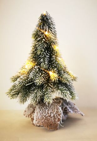 Tannenbaum beschneit im Zinktopf 