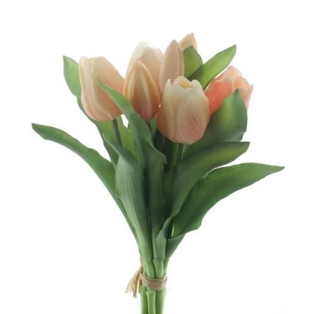 Tulpenbund peach (real touch)