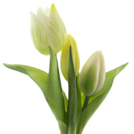 Tulpenbund x3 cream real touch