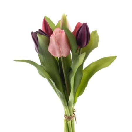 Tulpenbund x7 purple/beauty real touch